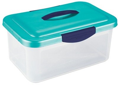 Debra Lynn Clear Storage Container with Lid + Handle