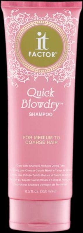 IT FACTOR QUICK BLOWDRY SHAMPOO-MEDIUM TO COARSE 8.5 OZHair ShampooIT FACTOR