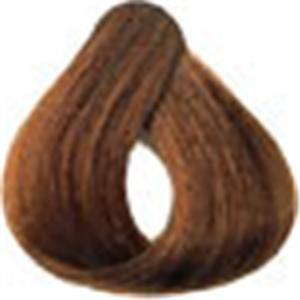 Loreal Professional Preference Hair ColorHair ColorLOREALShade: 6 Light Brown