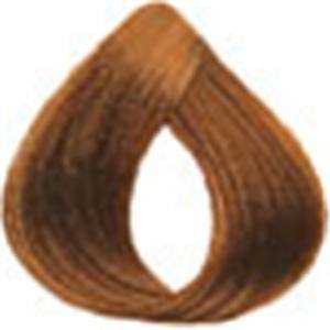 Loreal Professional Preference Hair ColorHair ColorLOREALShade: 6.3 Light Gold Brown