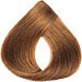 Loreal Professional Preference Hair ColorHair ColorLOREALShade: 7 Dark Blonde
