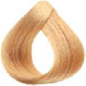 Loreal Professional Preference Hair ColorHair ColorLOREALShade: 9 Pastel Blonde