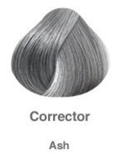 Pravana Chromasilk Hair Color CorrectorsHair ColorPRAVANAShade: Ash