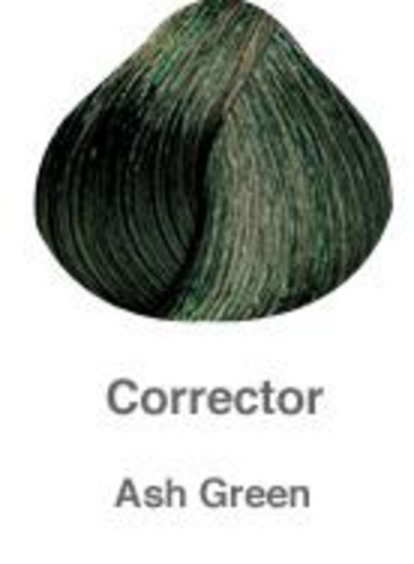 Pravana Chromasilk Hair Color CorrectorsHair ColorPRAVANAShade: Ash Green