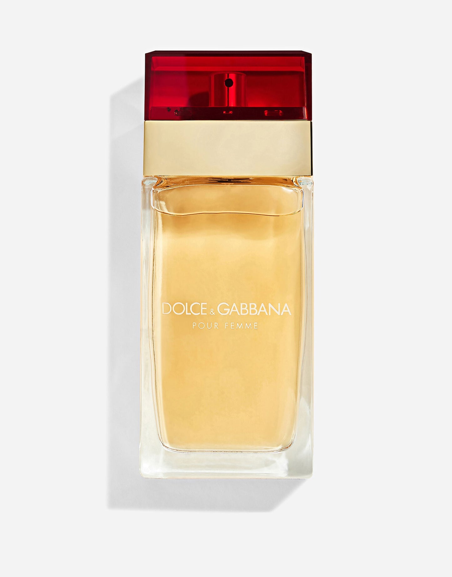 Dolce and Gabbana Pour Femme Women`s Eau De Toilette Spray 3.3 oz