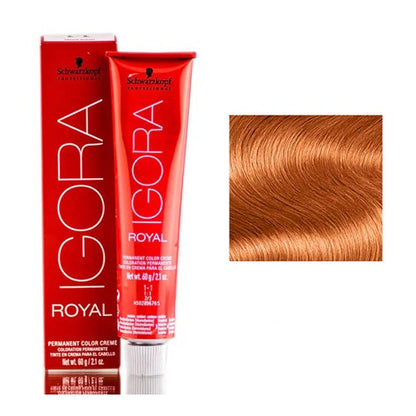 Schwarzkopf Igora Royal Permanent Creme Hair ColorHair ColorSCHWARZKOPFColor: 8-77 Light Blonde Copper Extra