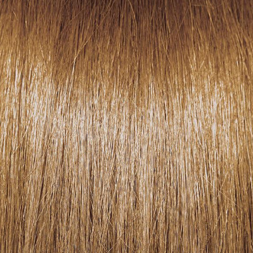 Pravana Chromasilk Hair Color 3 ozHair ColorPRAVANAShade: 6.3L Dark Golden Lowlight