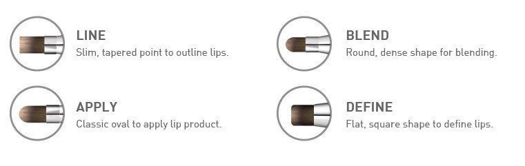 Cailyn Cosmetics 4 In 1 Lip BrushCosmetic BrushesCAILYN COSMETICS
