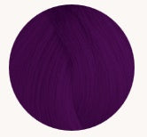 Pravana Chromasilk Vivid Everlasting Hair Color 3 ozHair ColorPRAVANAColor: Violet Reign
